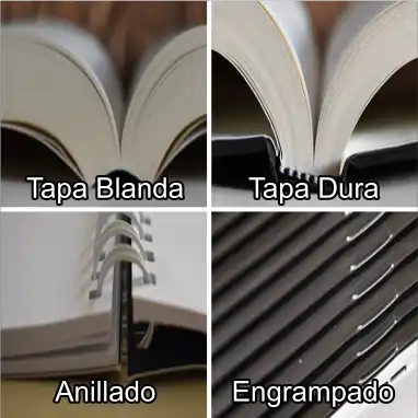 Libros de Texto o Guías de Estudio 1