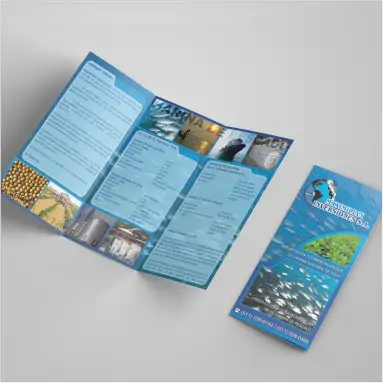 TRIPTICO 2