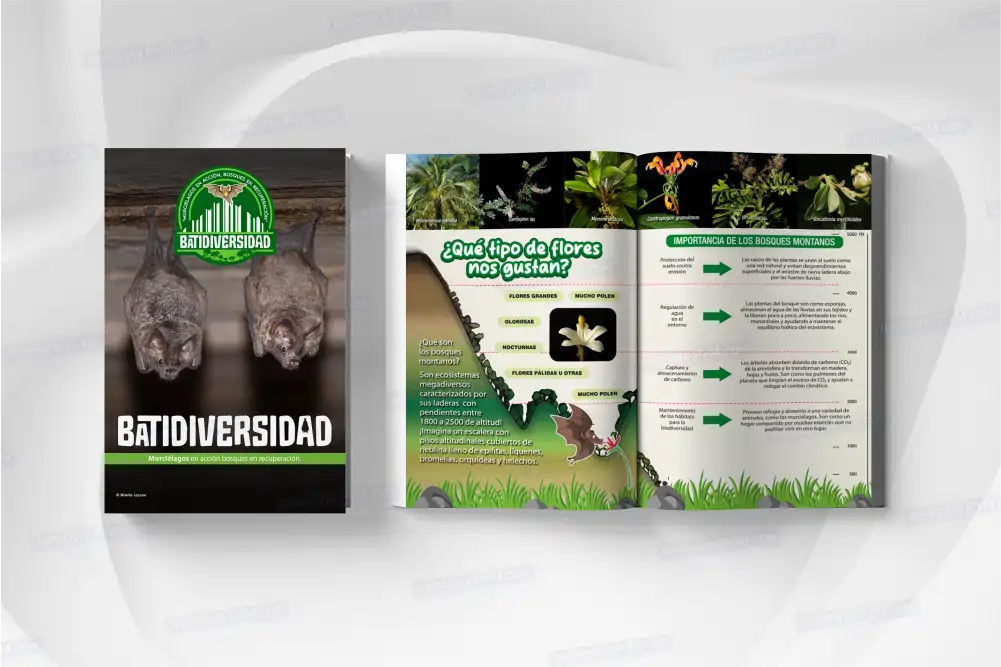 Imprenta P y M - PC - Libros 1